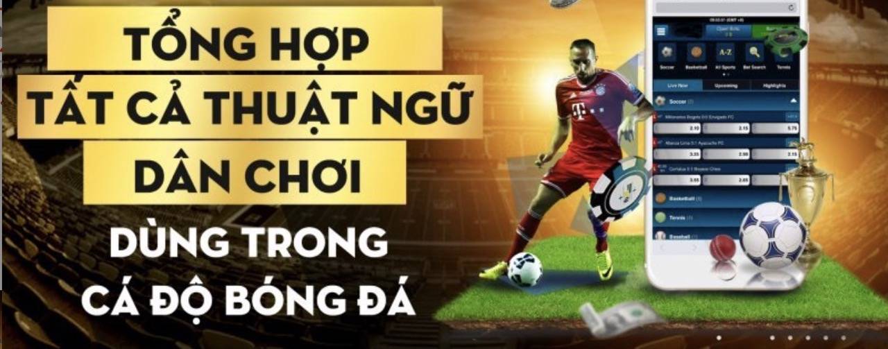 Thuật ngữ trong bóng đá